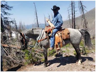 Chasing colonization back: rethinking parks, returning place-names, and restoring buffalo medicine—an interview with Ninna Piiksii, Dr. Mike Bruised Head